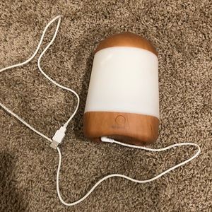 Excellent condition diffuser with a couple oils.